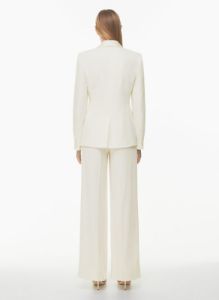 intrigue blazer sold by Aritzia