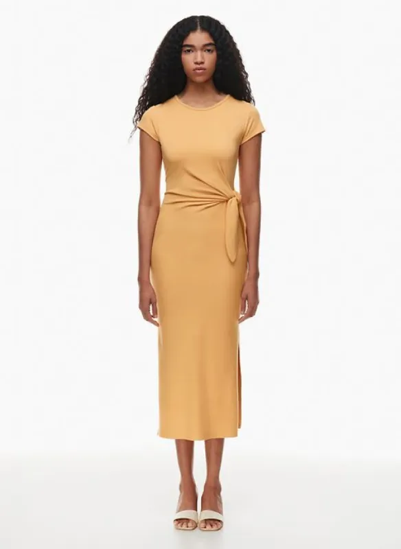 fortune maxi dress sold by Aritzia
