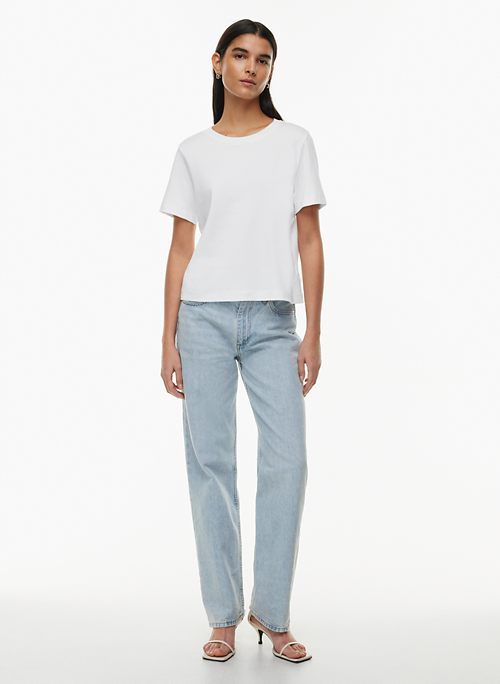 the 90s iggy lo-rise baggy jean sold by Aritzia