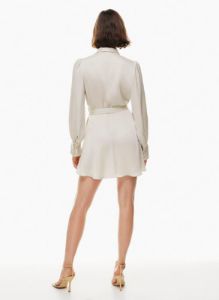 hyde mini dress sold by Aritzia