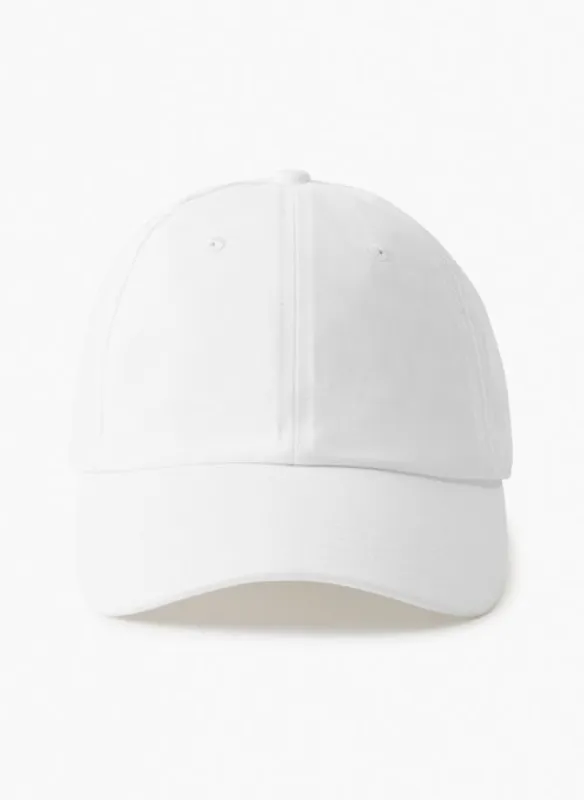 dad baseball cap sold by Aritzia