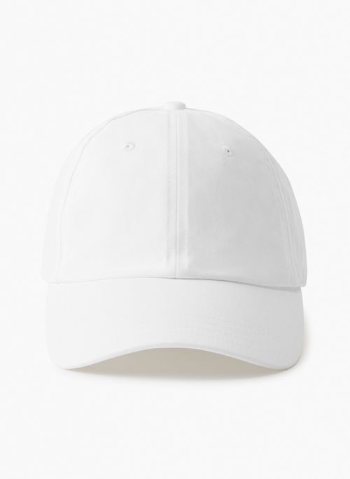 dad baseball cap sold by Aritzia