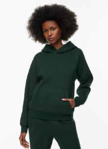 cozy fleece perfect hoodie sold by Aritzia