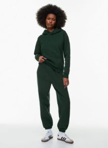cozy fleece perfect hoodie sold by Aritzia