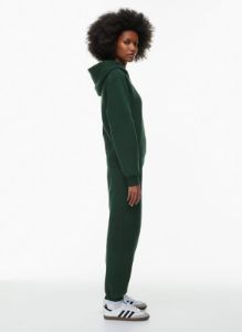 cozy fleece perfect hoodie sold by Aritzia
