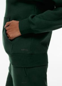 cozy fleece perfect hoodie sold by Aritzia