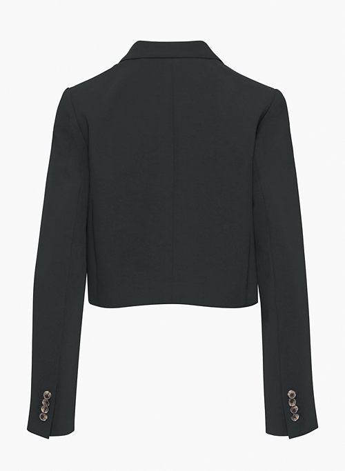 destiny waist blazer sold by Aritzia product image thumbnail 8