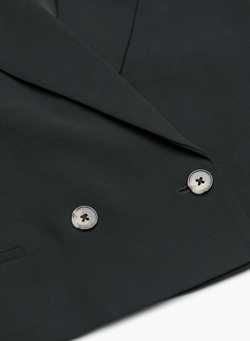 destiny waist blazer sold by Aritzia product image thumbnail 10