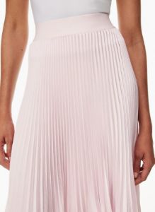 twirl pleated skirt sold by Aritzia