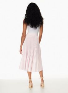 twirl pleated skirt sold by Aritzia