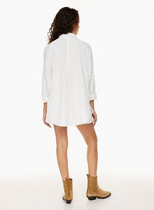boyfriend shirt sold by Aritzia product image thumbnail 5