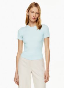 tisch top sold by Aritzia