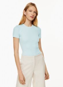 tisch top sold by Aritzia