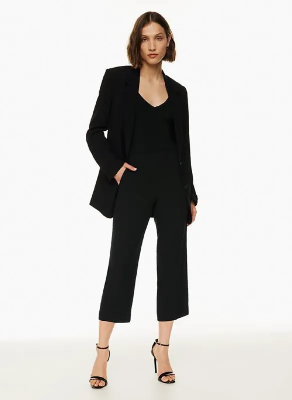 conan wide cropped pant sold by Aritzia