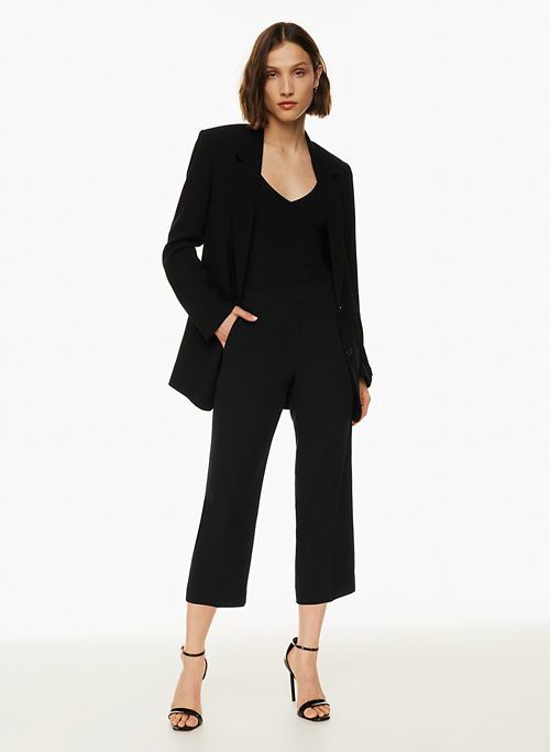 conan wide cropped pant sold by Aritzia
