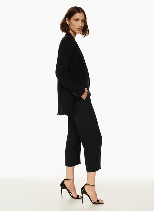 conan wide cropped pant sold by Aritzia product image thumbnail 3