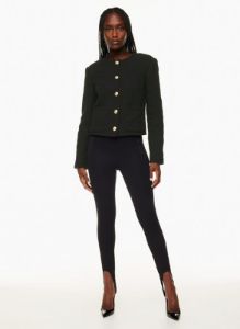 elysian jacket sold by Aritzia