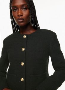 elysian jacket sold by Aritzia