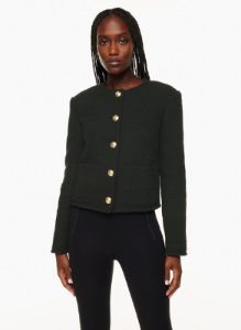 elysian jacket sold by Aritzia