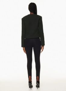 elysian jacket sold by Aritzia