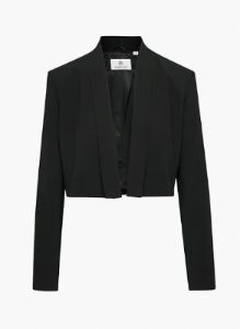 captain blazer sold by Aritzia