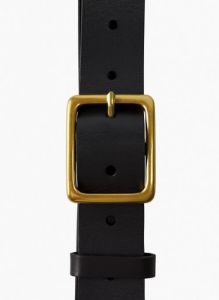 rectangle leather belt sold by Aritzia
