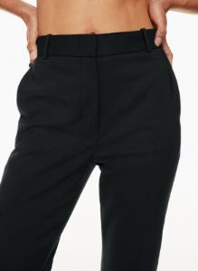 publish pant sold by Aritzia