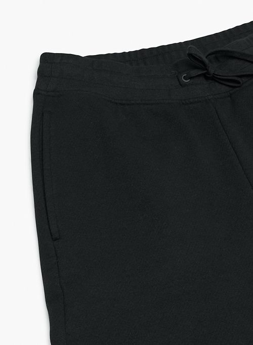 atwood jogger sold by Aritzia product image thumbnail 8