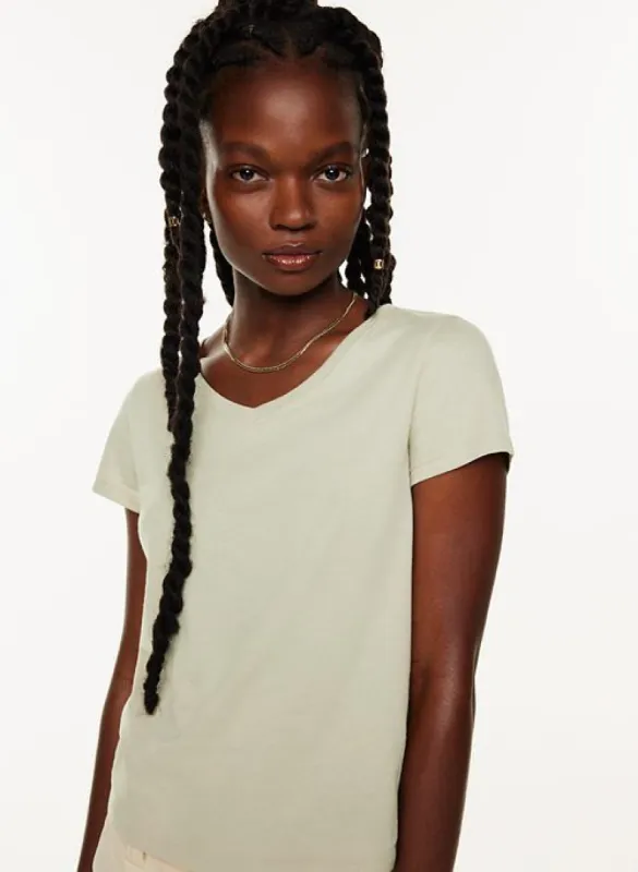 dropkick t-shirt sold by Aritzia