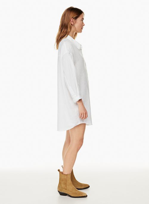 relaxed linen dress sold by Aritzia product image thumbnail 4