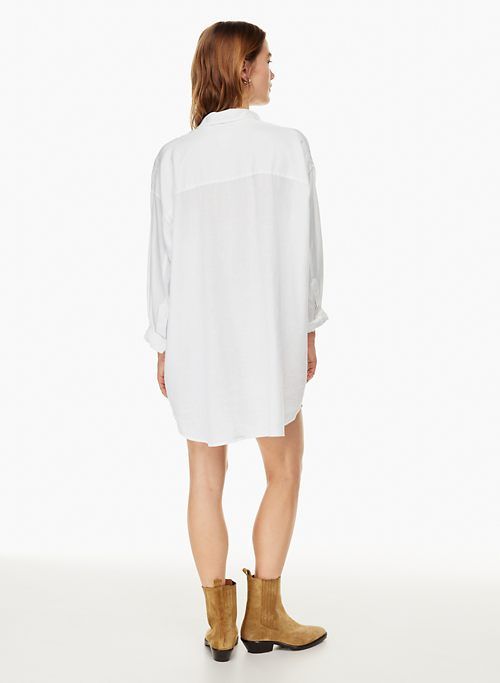 relaxed linen dress sold by Aritzia product image thumbnail 5