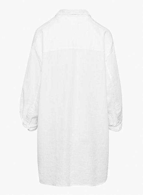 relaxed linen dress sold by Aritzia product image thumbnail 7