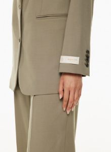 agency blazer sold by Aritzia