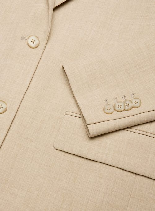 milestone blazer sold by Aritzia product image thumbnail 10