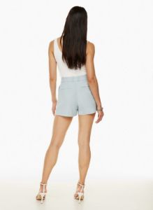pleated 3 short sold by Aritzia