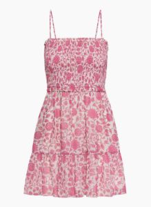 tempest sleeveless mini dress sold by Aritzia