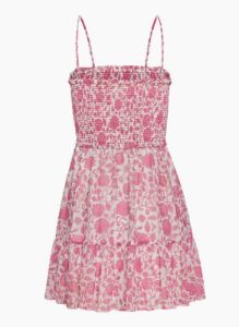 tempest sleeveless mini dress sold by Aritzia