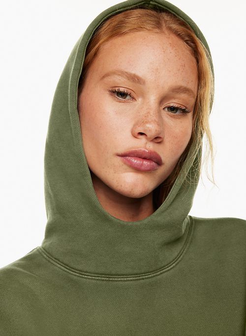 cozy fleece mega snorkel hoodie sold by Aritzia product image thumbnail 2