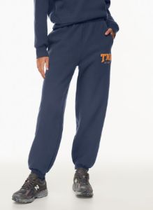 cozy fleece mega sweatpant sold by Aritzia