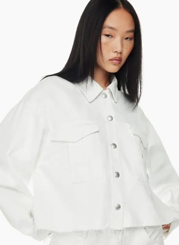 nyx denim shirt sold by Aritzia