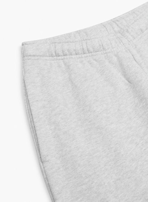 cozy fleece mega cargo™ jogger sold by Aritzia product image thumbnail 8