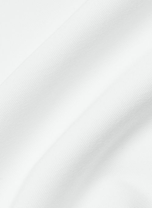 kitridge pleated skirt sold by Aritzia product image thumbnail 8