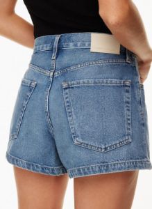 franca pleated baggy jean sold by Aritzia