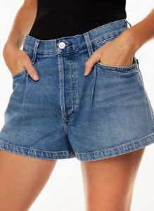 franca pleated baggy jean sold by Aritzia
