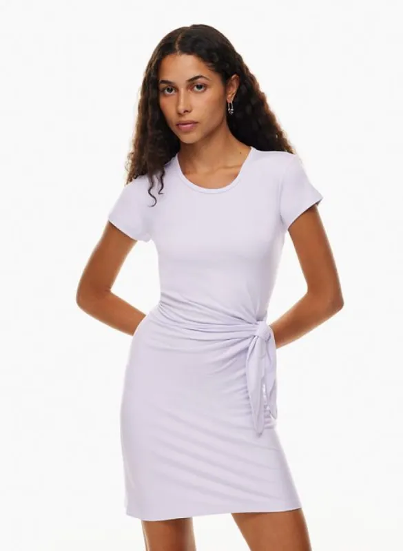 fortune mini dress sold by Aritzia