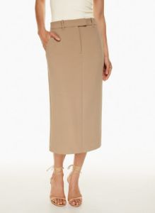riviera skirt sold by Aritzia