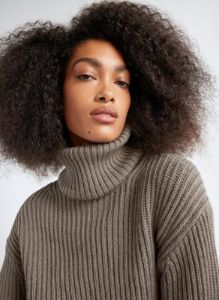 guell sweater sold by Aritzia