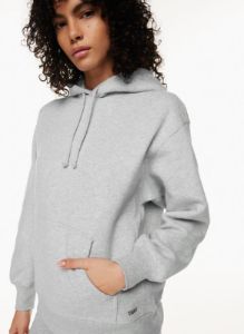 cozy fleece boyfriend hoodie sold by Aritzia