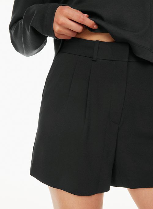pleated 5 short sold by Aritzia product image thumbnail 6