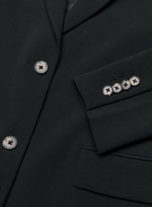 milestone blazer sold by Aritzia product image thumbnail 10